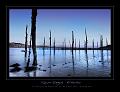gwin zegal05_04_10n05